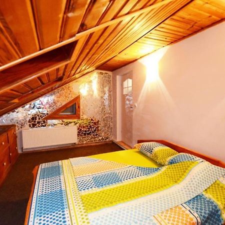 Rustic & Romantic Apartment Braşov Extérieur photo